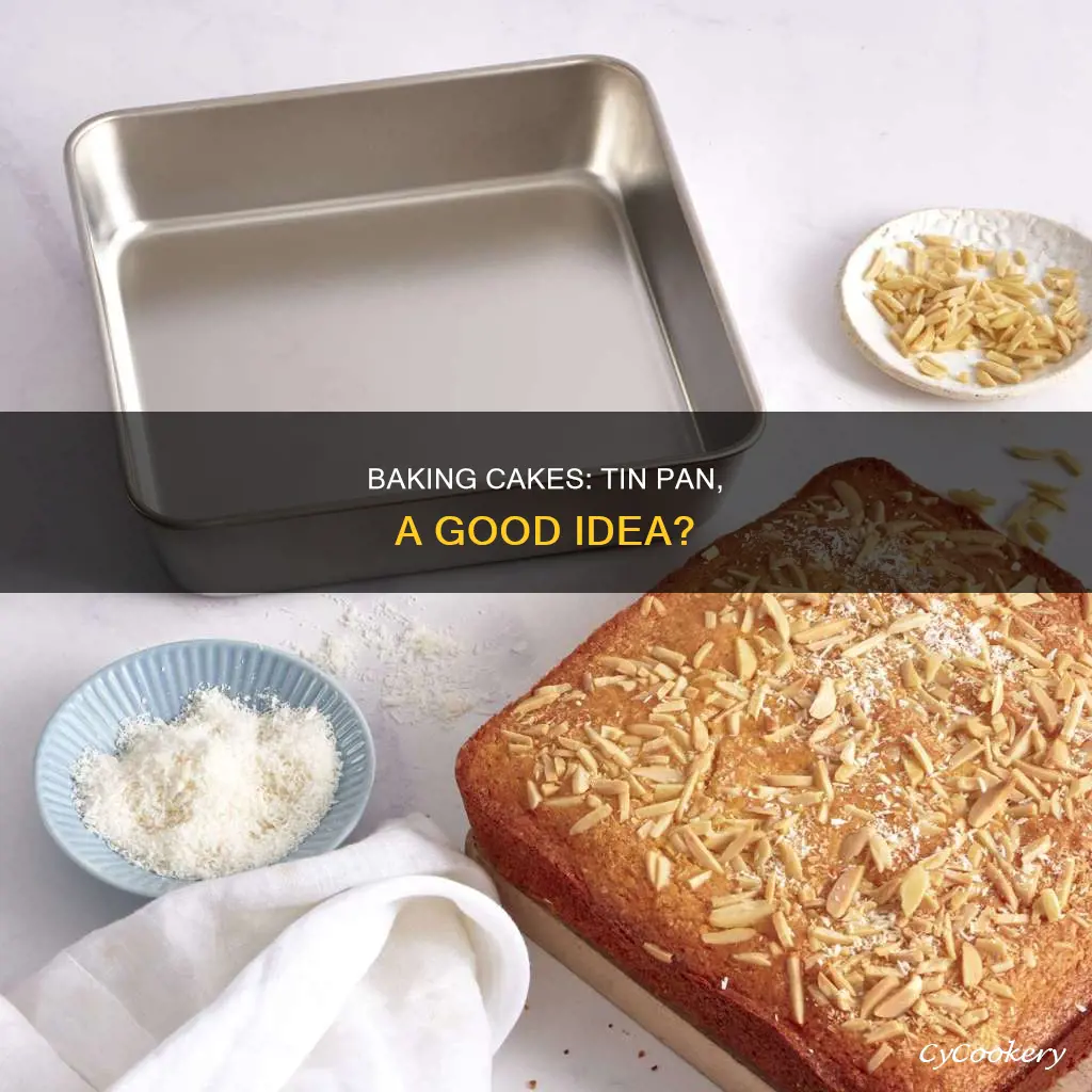 can you bake a cake in a tin pan