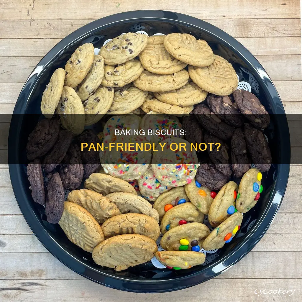can you bake biscuits on a pan