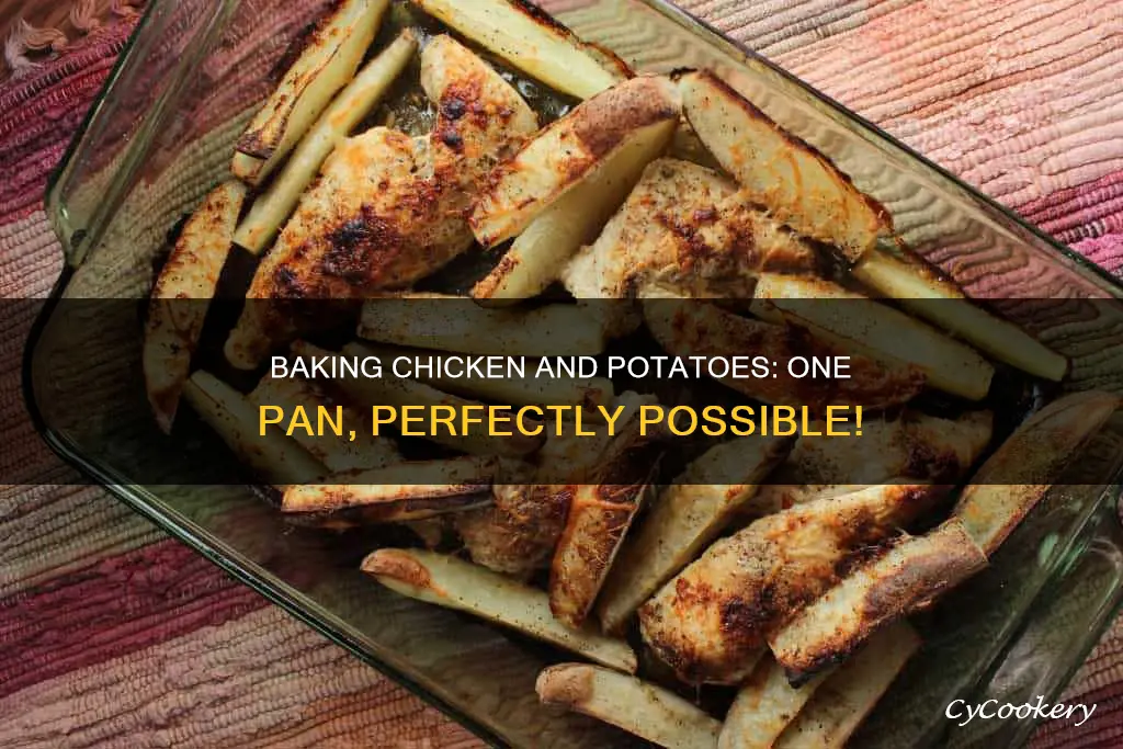 can you bake chicken and potatoes in the same pan