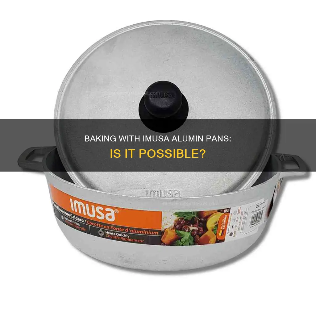 can you bake in imusa alumin pans