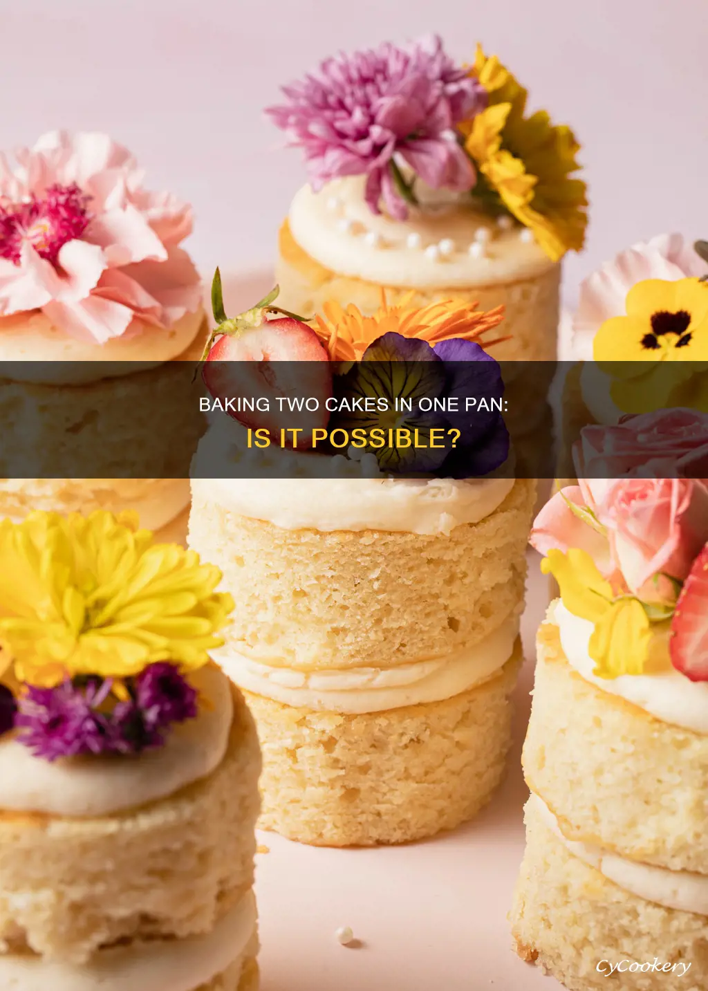 can you bake in one pan two different cake mixes