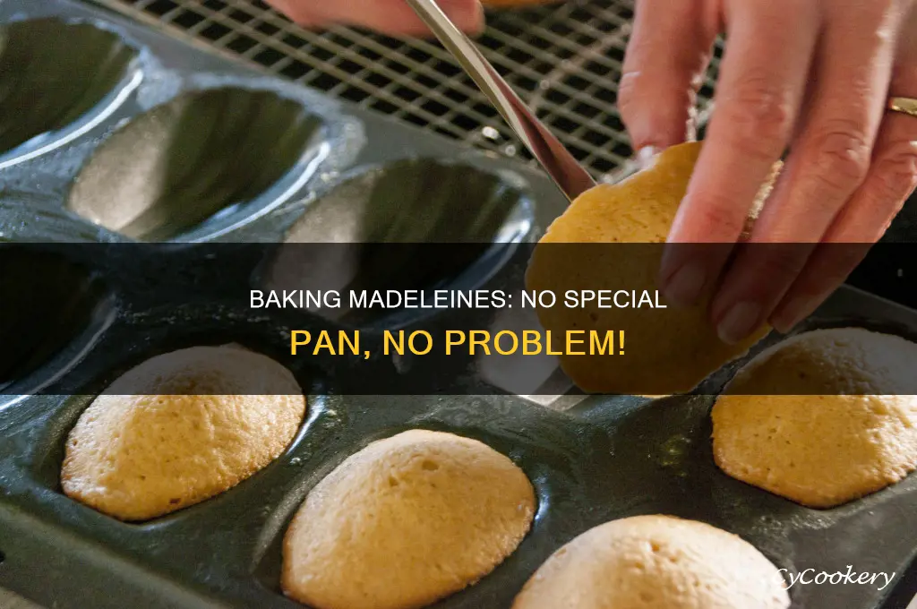 can you bake madeleines without a madeleine pan