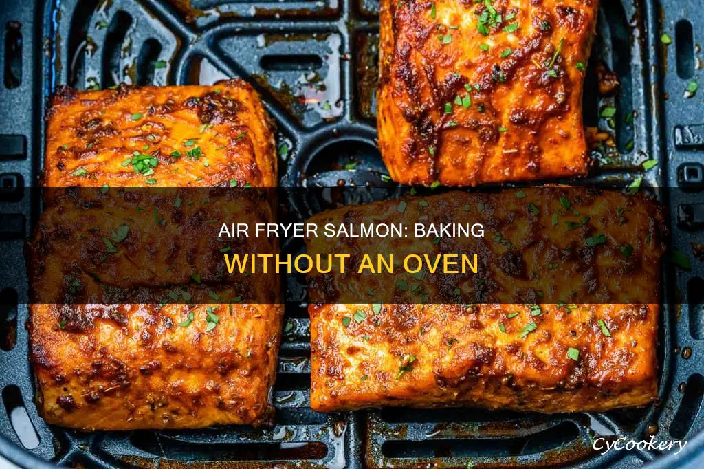 can you bake salmon in the power air fryer oven