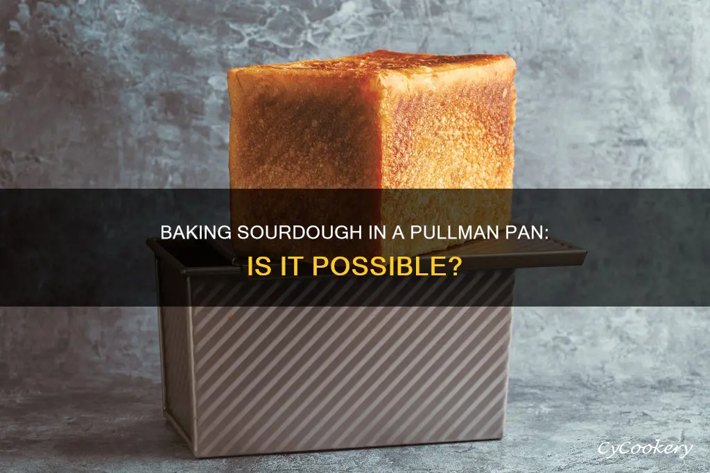 can you bake sourdough in a pullman pan