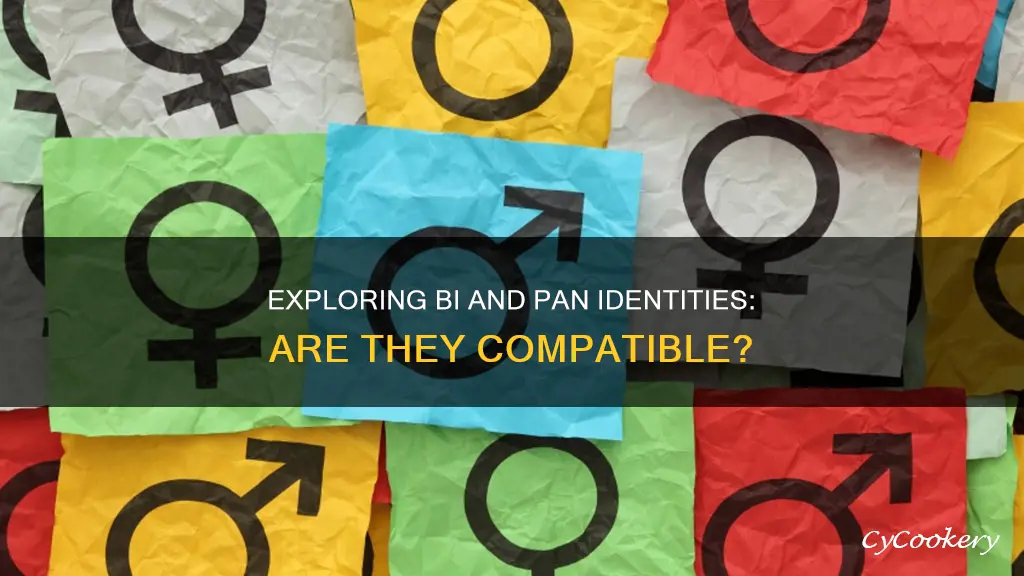 can you be bi and pan at the same time