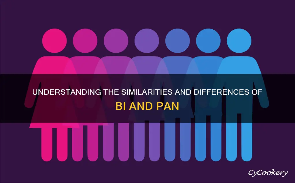 can you be bi and pan