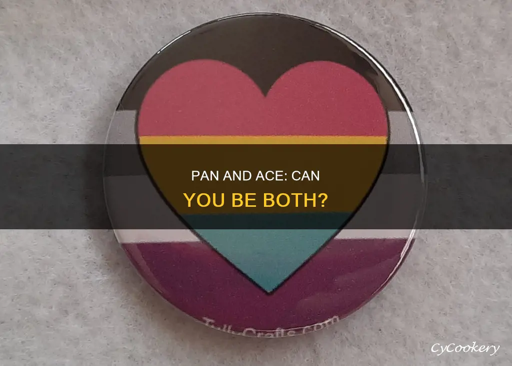 can you be both pan and ace