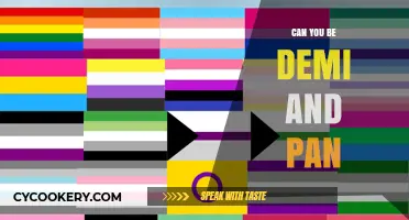 Exploring the Intersection of Demisexual and Pansexual Identities