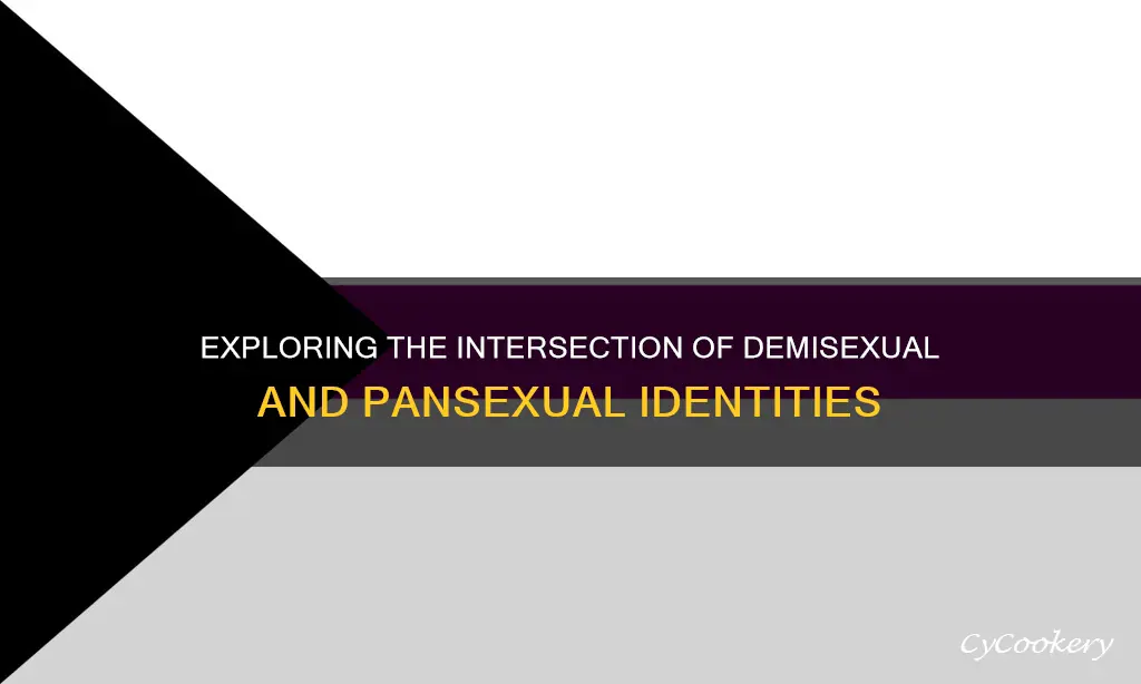 can you be demi and pan