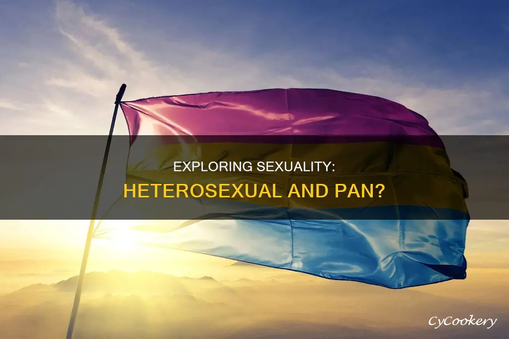 can you be heterosexual and pan
