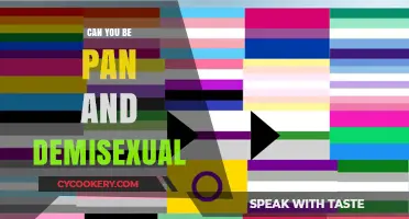 Exploring Pan and Demisexual Identities: Understanding the Intersection