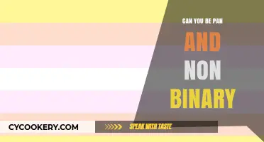 Exploring Pansexuality and Non-Binary Identities