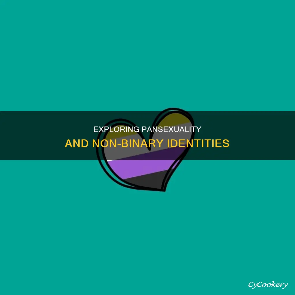 can you be pan and non binary