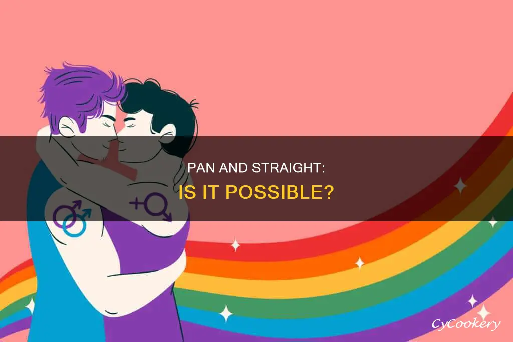 can you be pan and straight