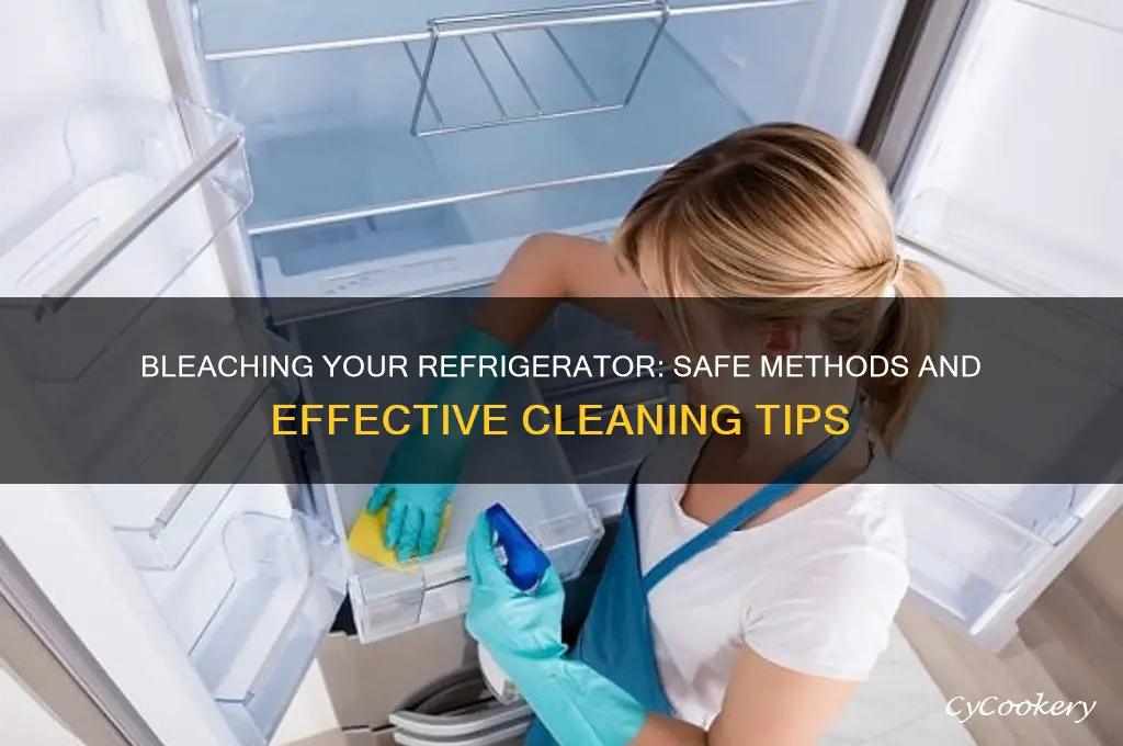 can you bleach refrigerator