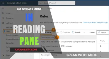 Blocking Emails: Reading Pane Protection