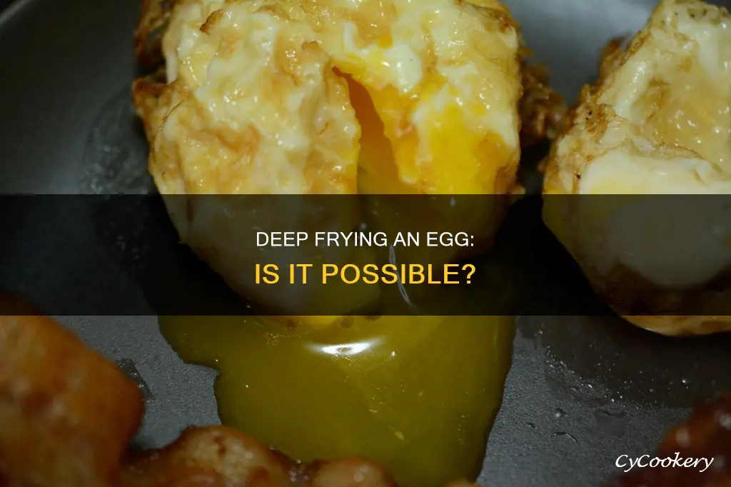 can you boil an egg in a deep fryer