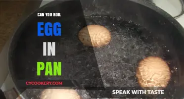 How to Boil an Egg in a Pan?