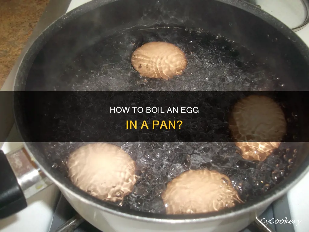 can you boil egg in pan