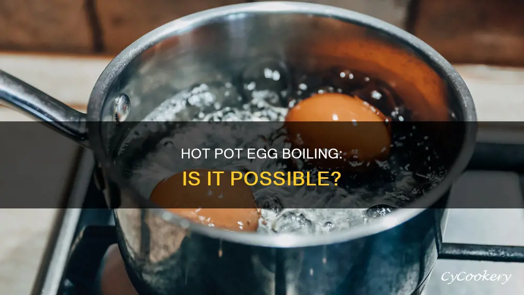 can you boil eggs in a hot pot