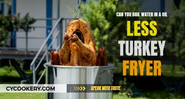 Boiling Water in an Oil-less Turkey Fryer: Is it Possible?