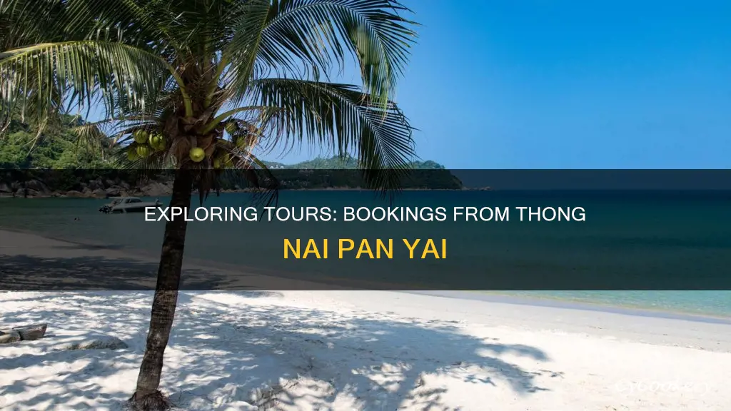 can you book tours from thong nai pan yai