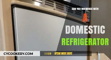 Boondocking with a Domestic Fridge: Is It Possible or Practical?