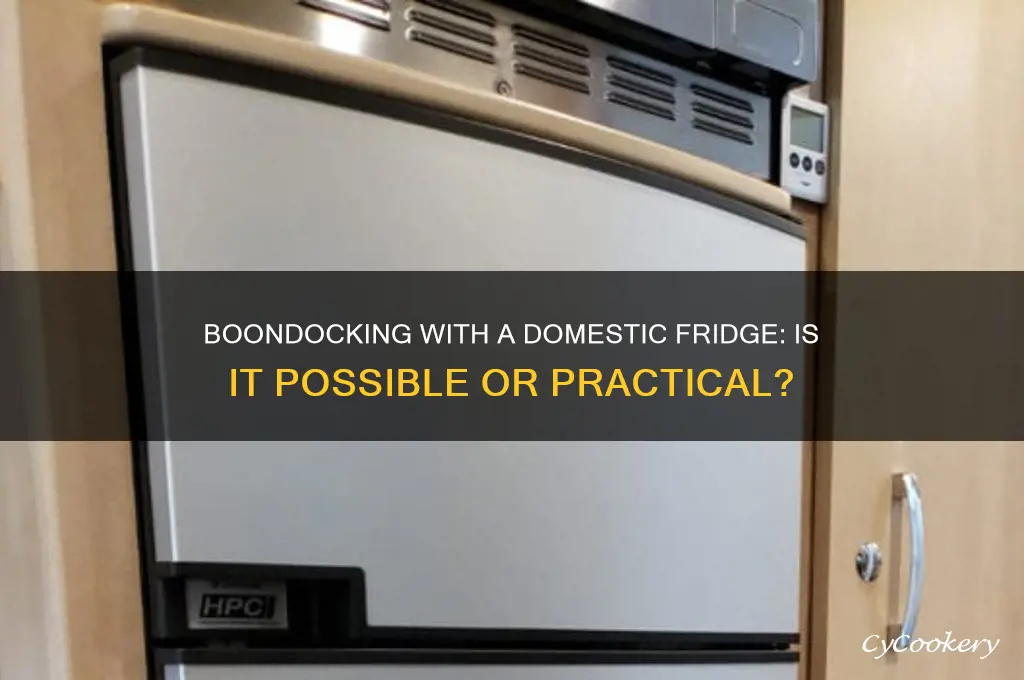 can you boondock with a domestic refrigerator