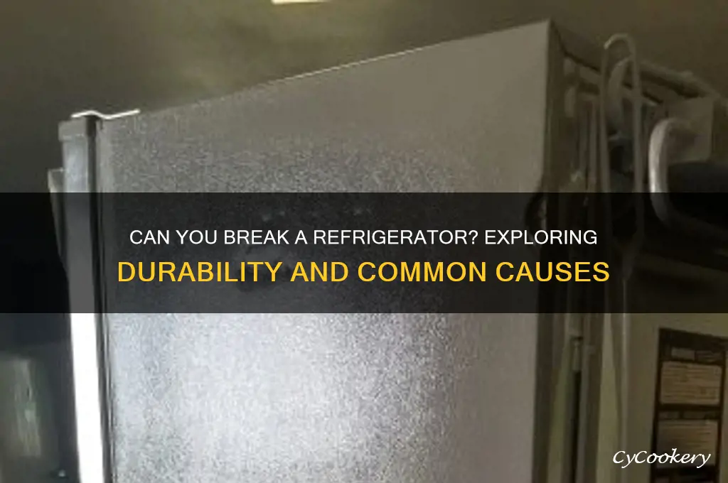 can you break a refrigerator