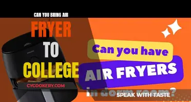 Air Fryer on Campus: What You Need to Know