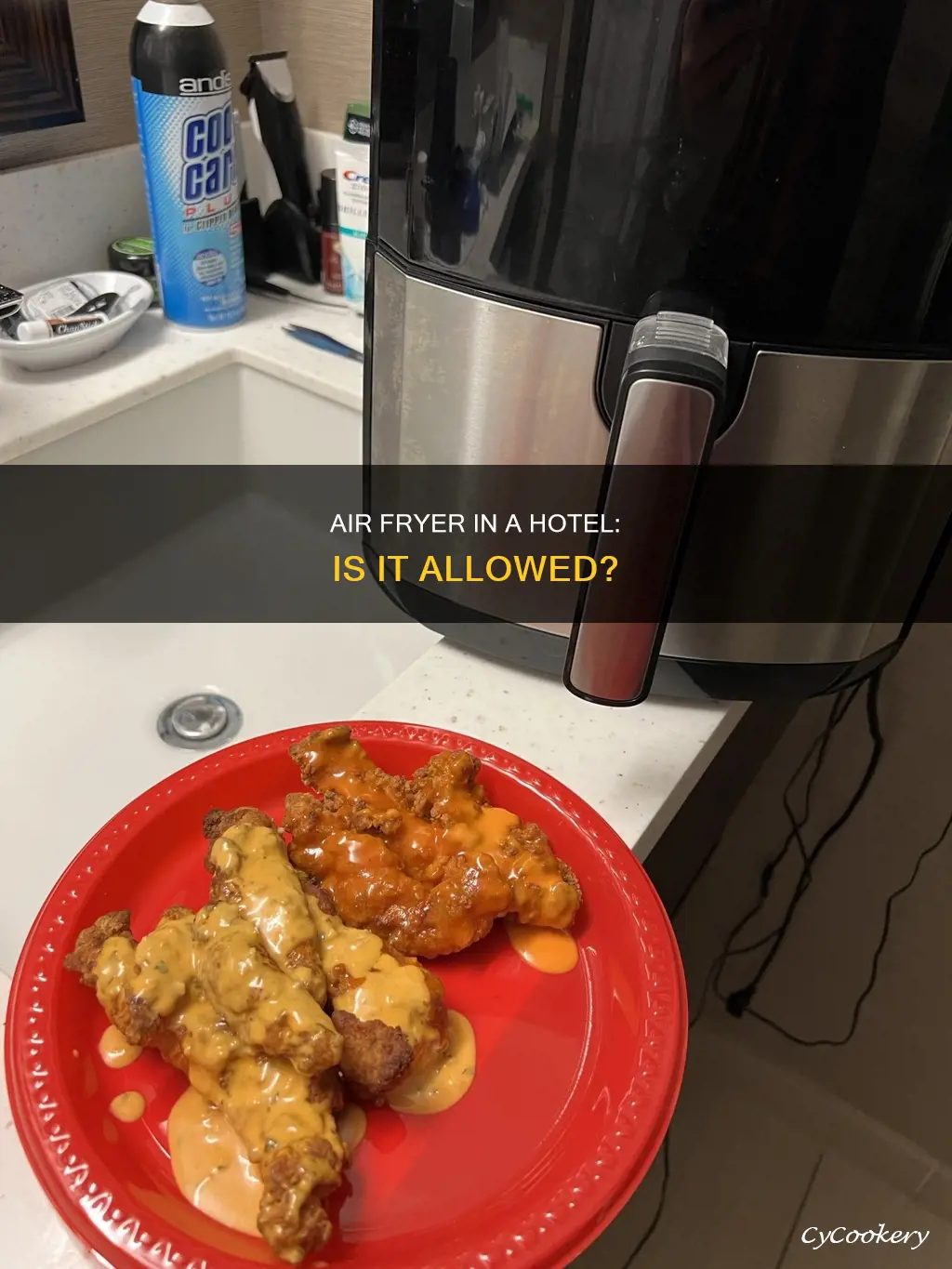 can you bring air fryer to hotel