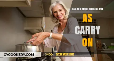 Travel Cooking: Pots in Your Carry-On?