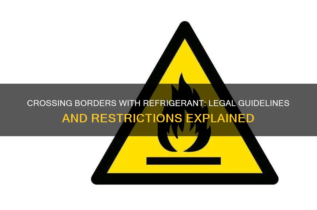can you bring refrigerant across the border