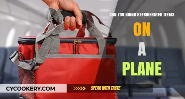 Flying with Refrigerated Foods: TSA Rules and Packing Tips