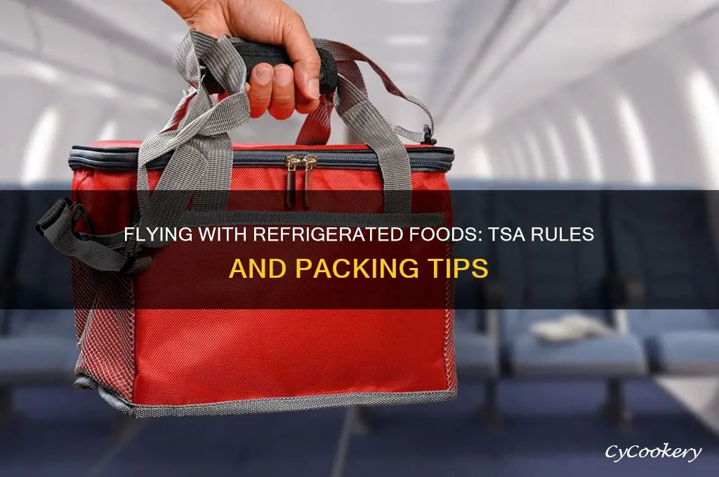 can you bring refrigerated items on a plane