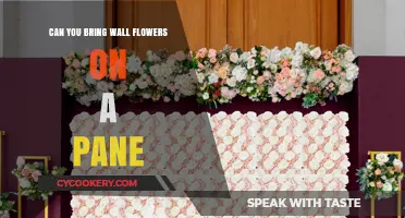 Traveling with Wall Flowers: What You Need to Know
