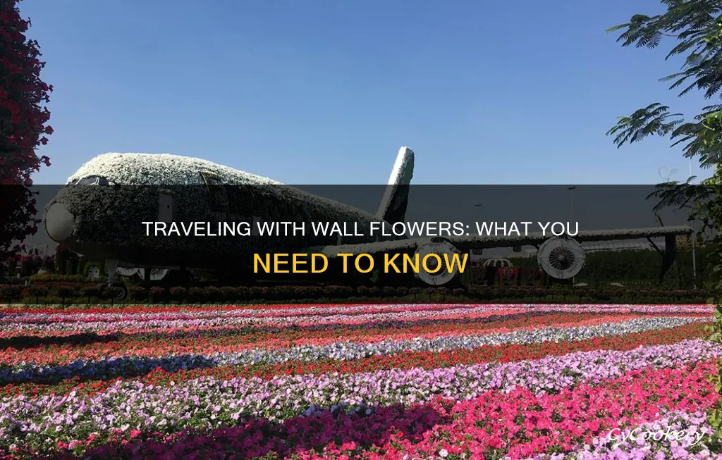 can you bring wall flowers on a pane