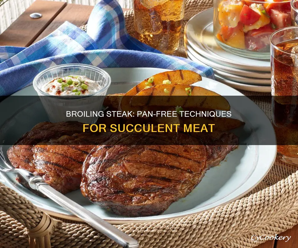 can you broil a steak without a broiler pan