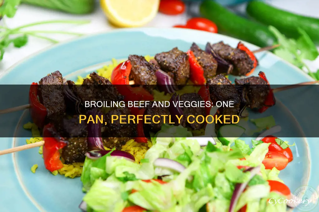 can you broil beef and veggies in one pan