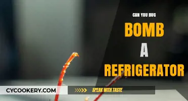 Can You Safely Bug Bomb a Refrigerator? Expert Tips and Warnings
