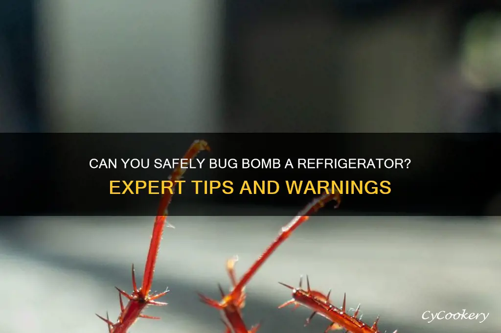 can you bug bomb a refrigerator