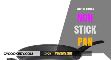 Non-Stick Pans: Burning Questions Answered