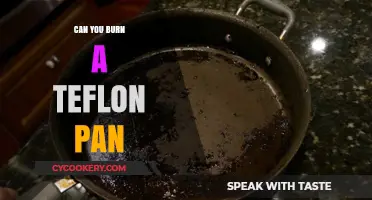 How to Avoid Burning Your Teflon Pan