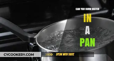 The Mystery of Burning Water: Is It Possible?