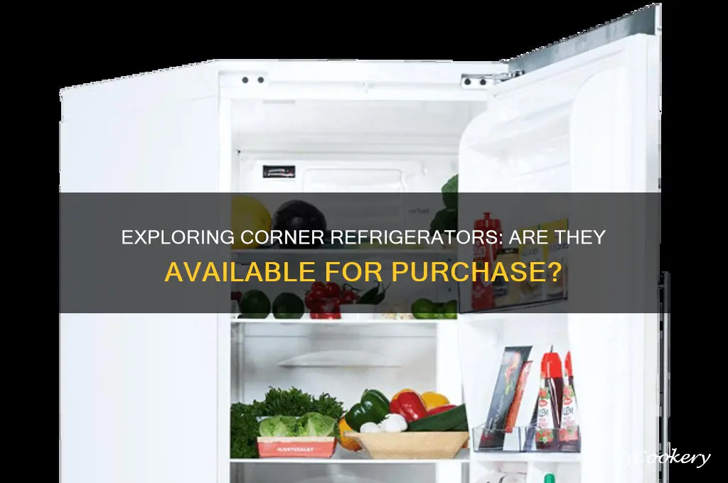 can you buy a corner refrigerator