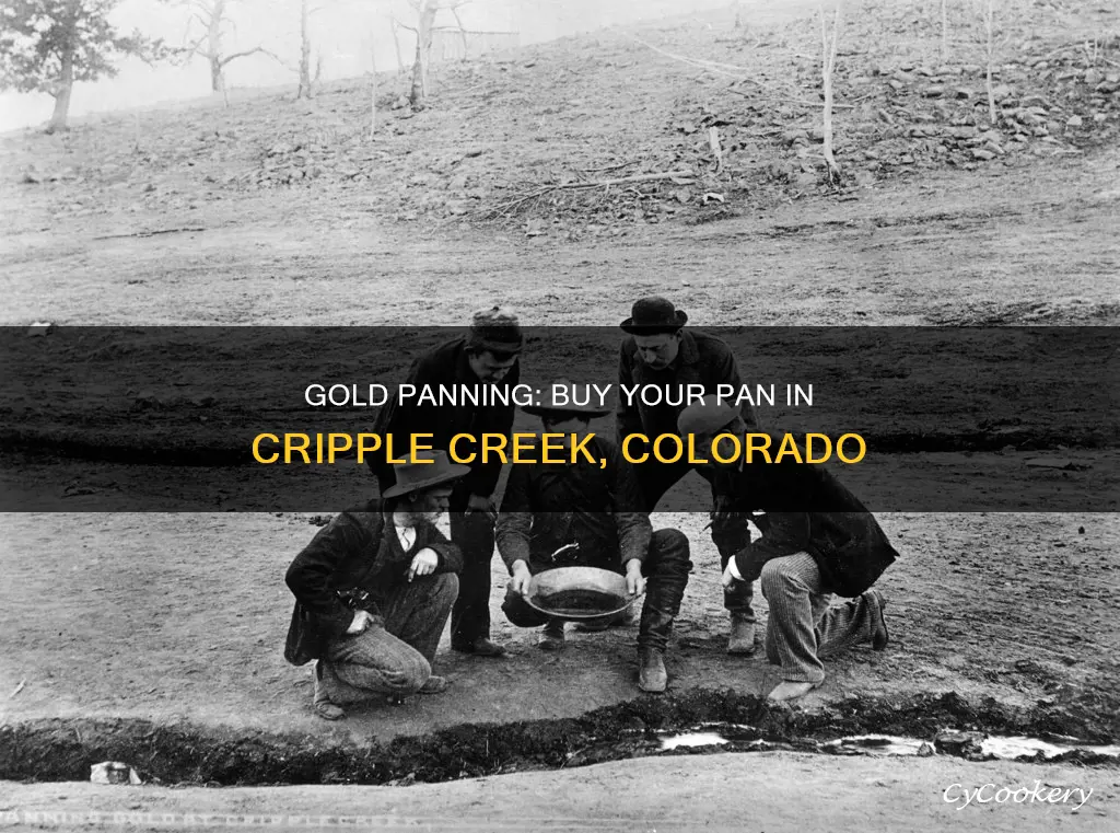 can you buy a gold pan in cripple creek colorado