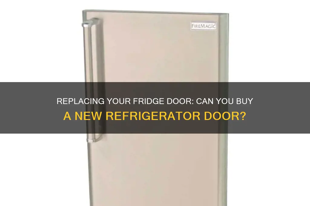 can you buy a new refrigerator door