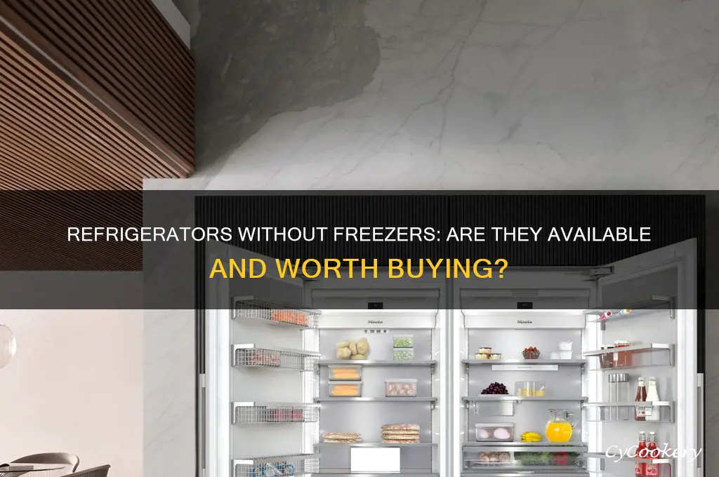can you buy a refrigerator without a freezer