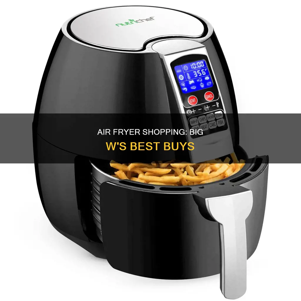 can you buy an air fryer from bigw