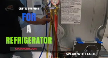 Can You Buy Freon for Your Refrigerator? Legal and Safe Options